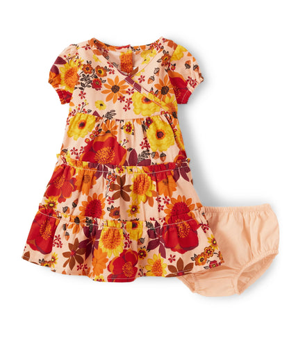 Gymboree Baby-Girls and Newborn Dress with Diaper Cover, 2 Piece Outfit